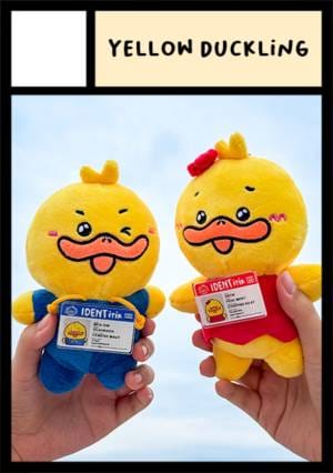 Yellow Duckling sample